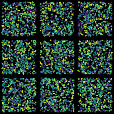 array_curves_grid_20230812-015705.jpg